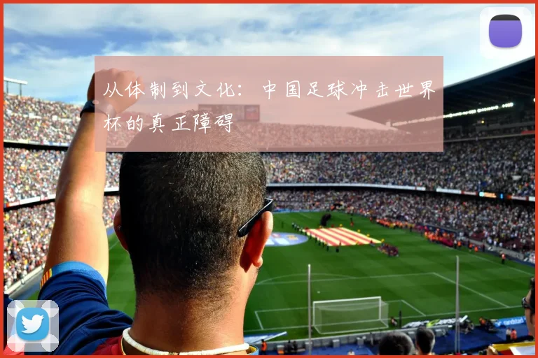 从体制到文化:中国足球冲击世界杯的真正障碍