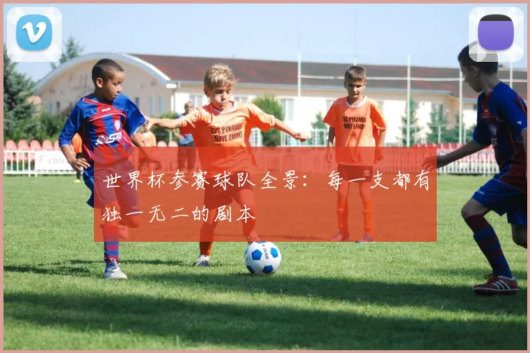 世界杯参赛球队全景：每一支都有独一无二的剧本
