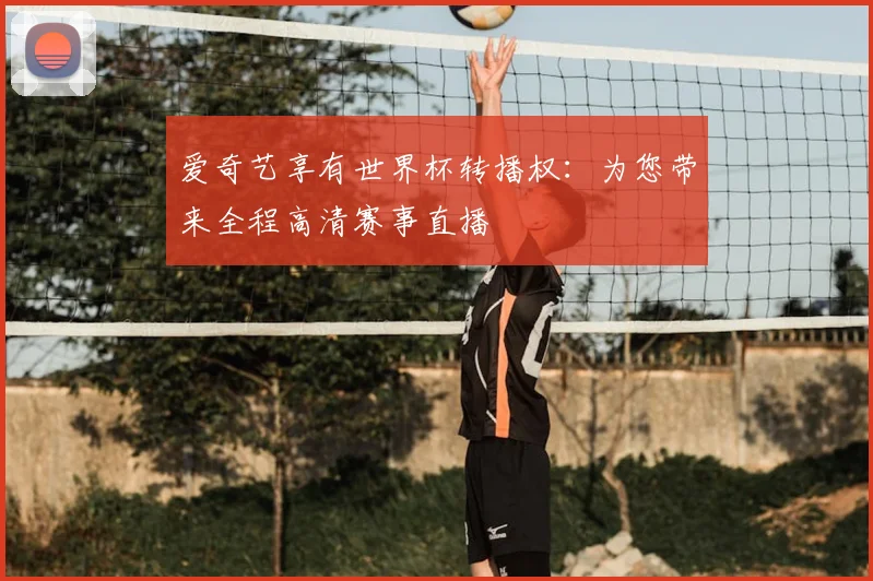 爱奇艺享有世界杯转播权：为您带来全程高清赛事直播
