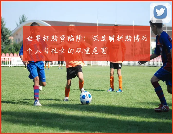 世界杯赌资陷阱:深度解析赌博对个人与社会的双重危害