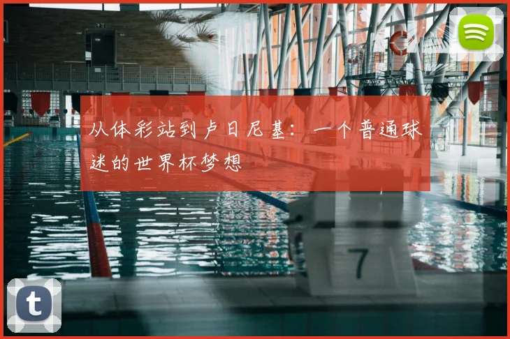 从体彩站到卢日尼基:一个普通球迷的世界杯梦想
