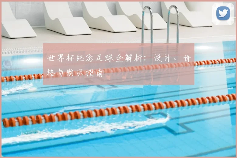 世界杯纪念足球全解析：设计、价格与购买指南